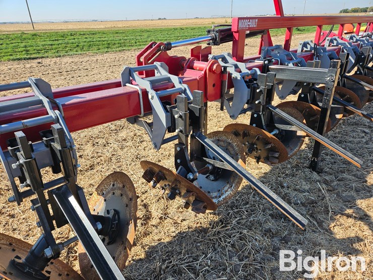 besler-2000-image-19