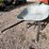 #3109-•-wheelbarrow-image-2