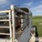1985-easley-s/a-gooseneck-livestock-trailer-image-18