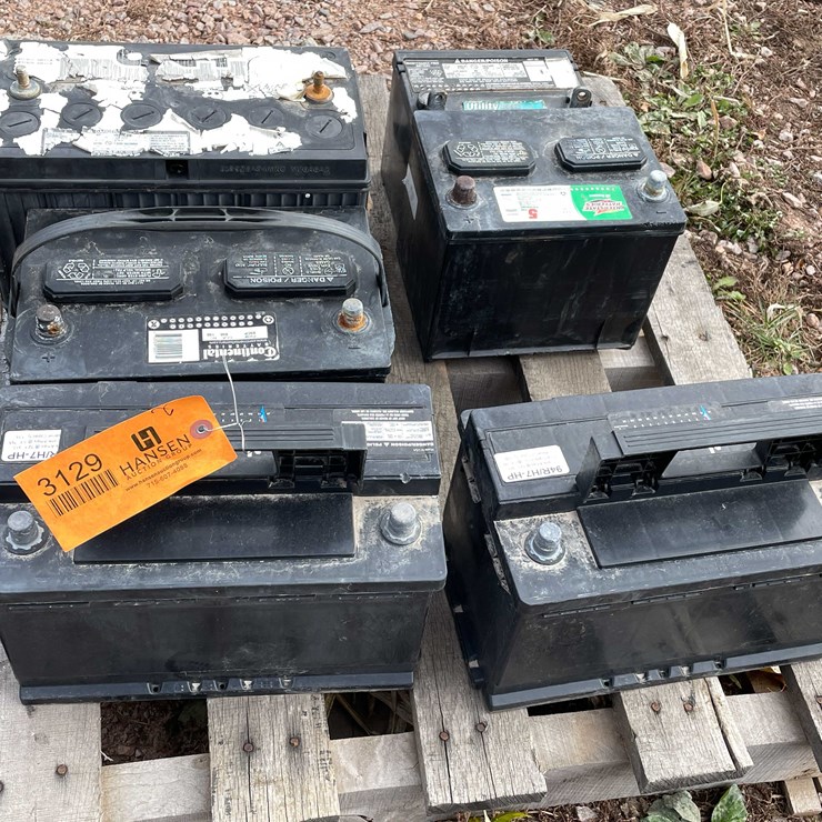 #3129 • (6) Batteries