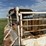1985-easley-s/a-gooseneck-livestock-trailer-image-14