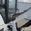 bobcat-331g-image-38