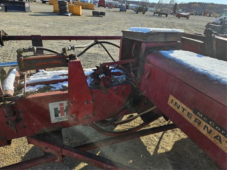 international-37-image-20