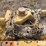 caterpillar-3208-image-9