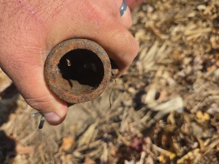 international-46-image-3