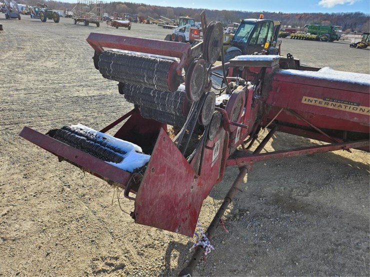 international-37-image-24