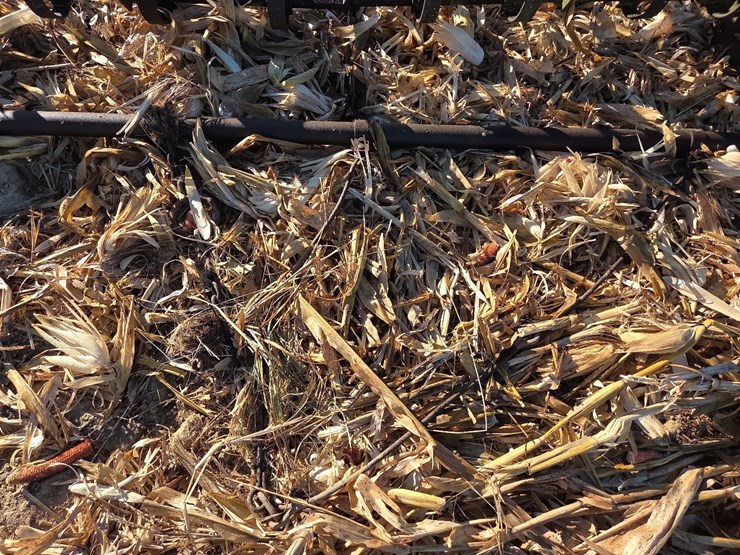 12'-spring-harrow-image-7