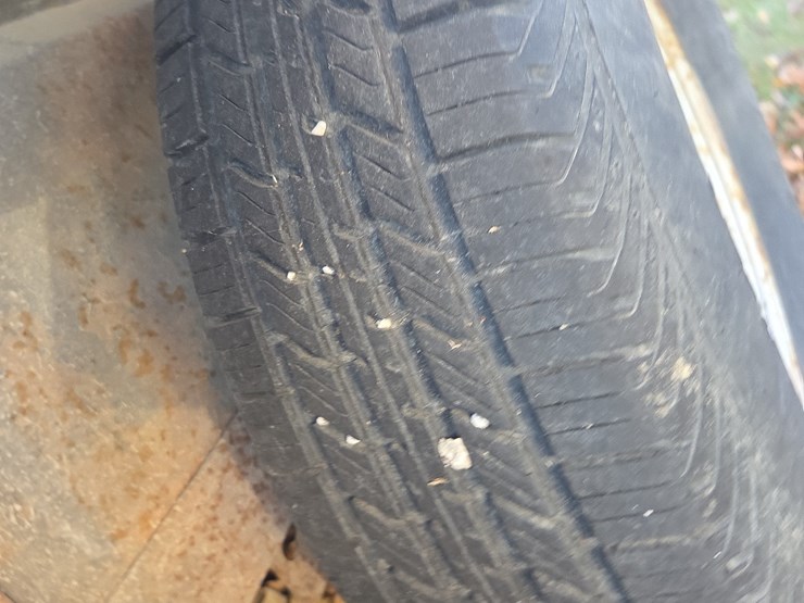 16'-ponderosa-livestock-trailer-image-18