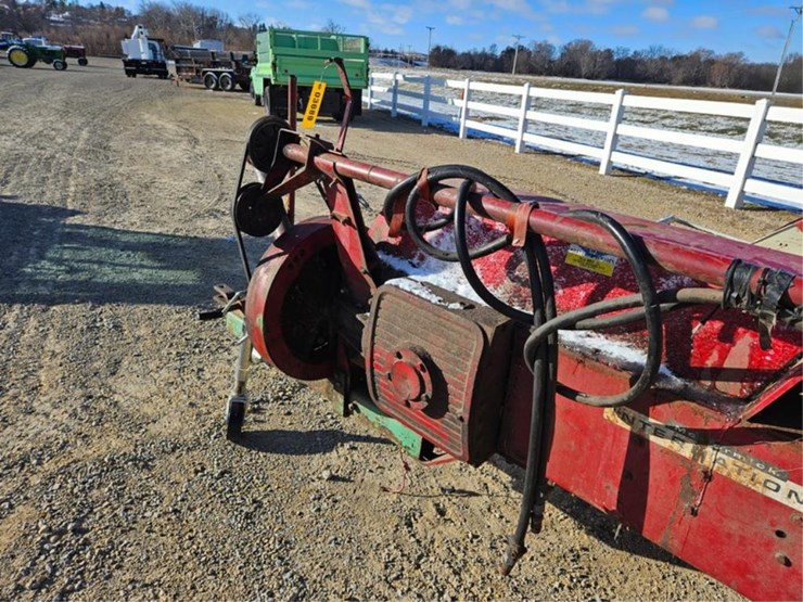 international-37-image-29