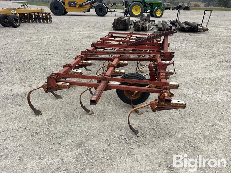 international-45-image-4