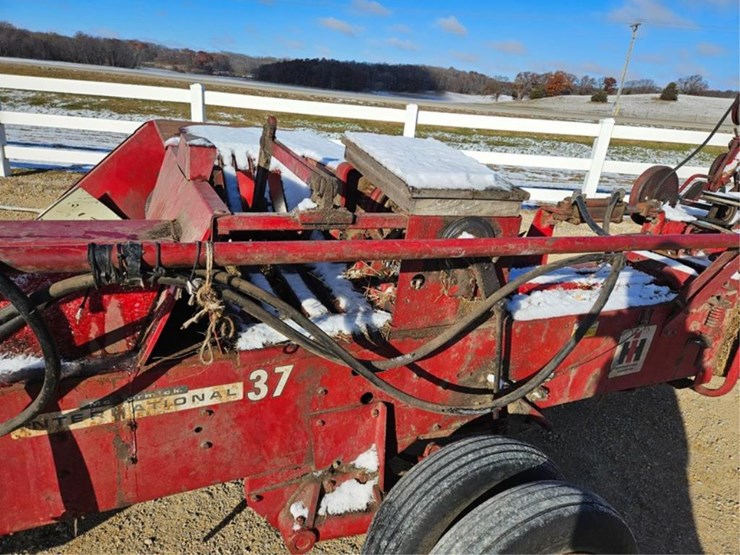 international-37-image-30