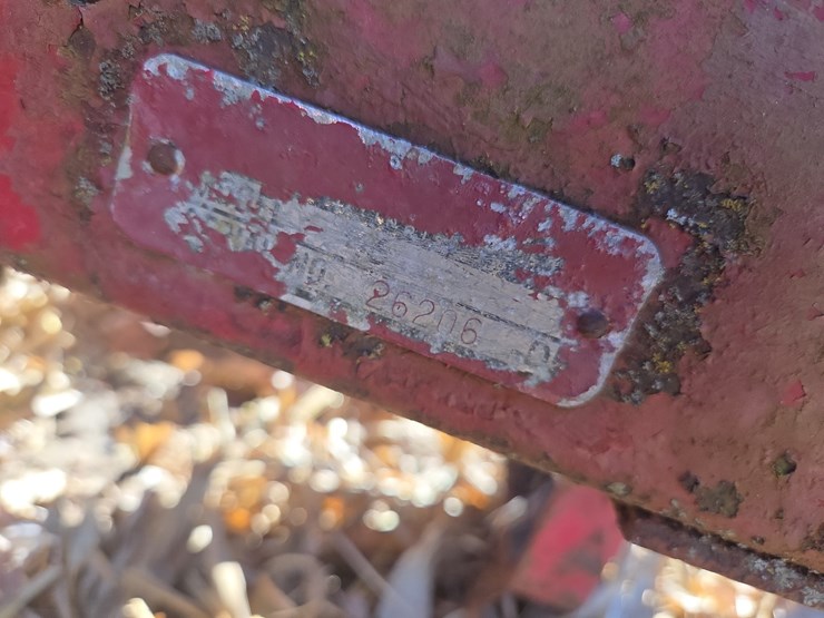 international-46-image-5