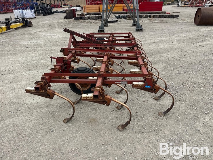 international-45-image-8