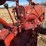 ih-farmall-h-tractor-image-19