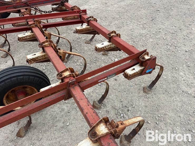 international-45-image-19