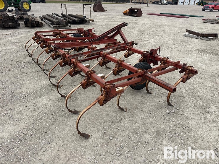 international-45-image-5