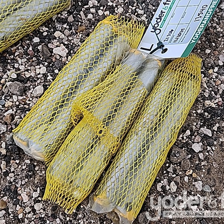 Unused Landhonor Universal Bucket Pin, 25mm*185mm (6 of)