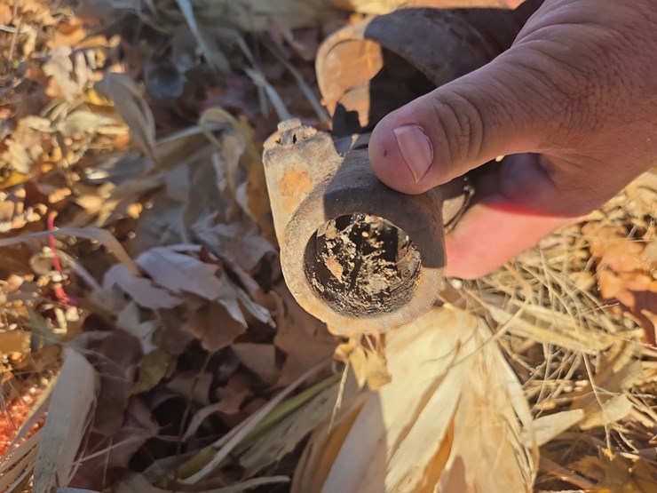 international-46-image-2