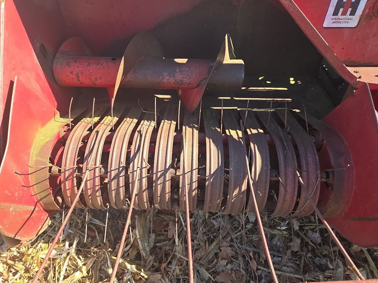 international-46-image-7