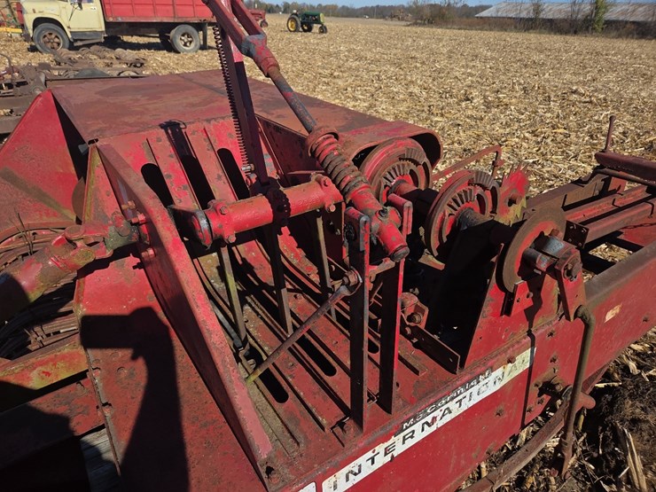 international-46-image-18