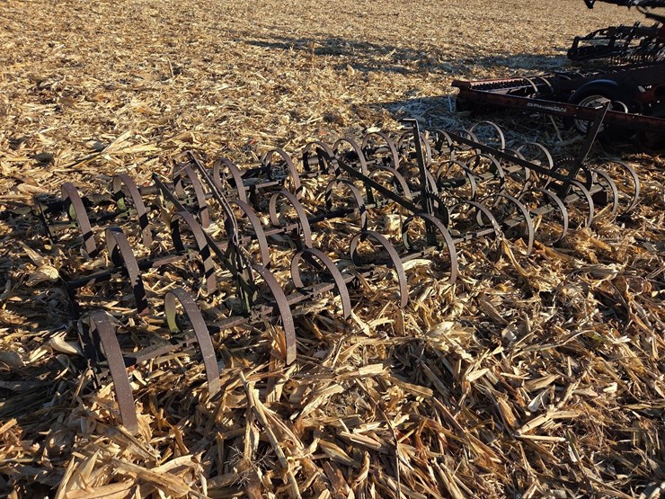 12'-spring-harrow-image-1