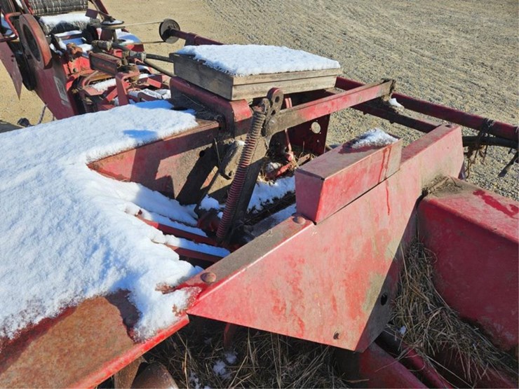 international-37-image-18