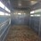 16'-ponderosa-livestock-trailer-image-10