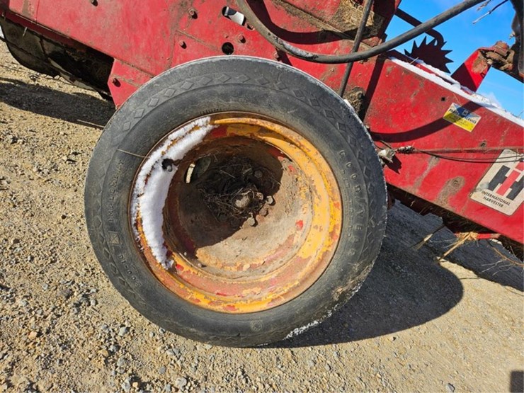 international-37-image-33