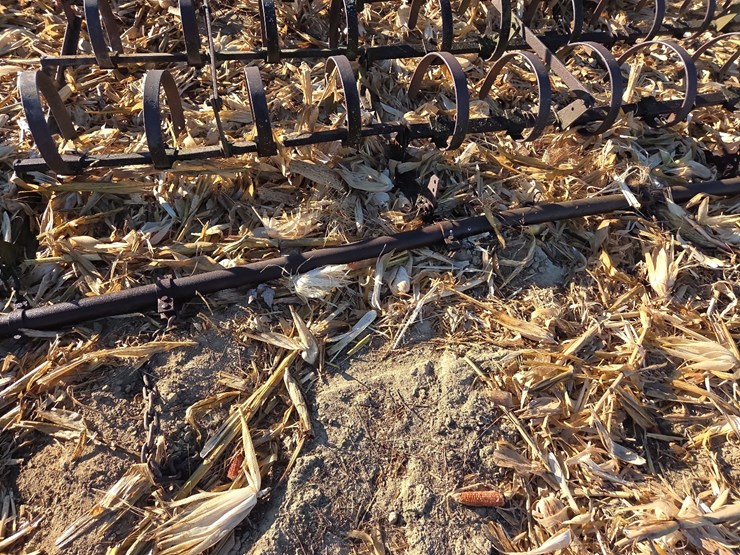 12'-spring-harrow-image-6