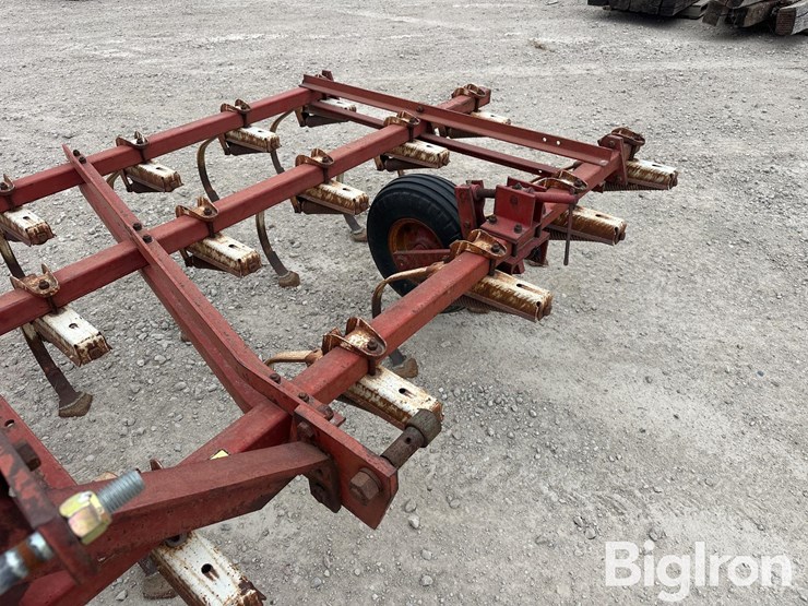 international-45-image-16