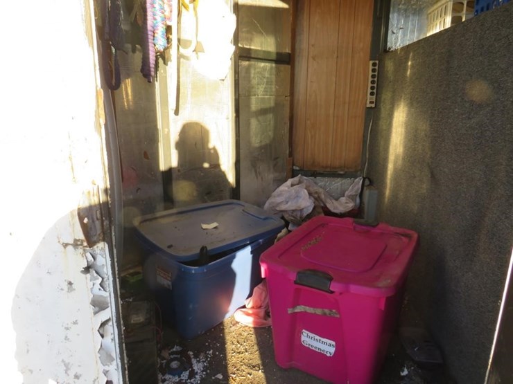 1994-diamond-d-image-2