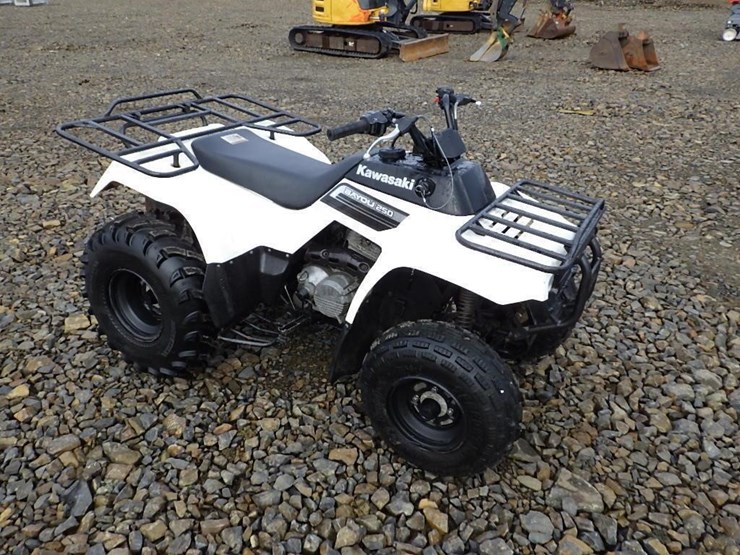 kawasaki-bayou-250-image-2