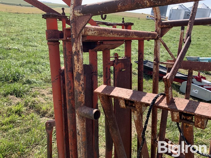 pinkleman-portable-cattle-chute-image-20