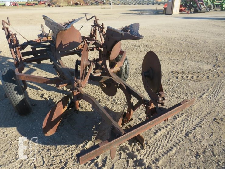 international-483-image-4