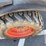bobcat-toolcat-5600-image-12