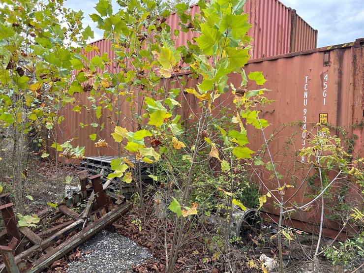 #85-•-40ft-high-cube-sea-container-image-4