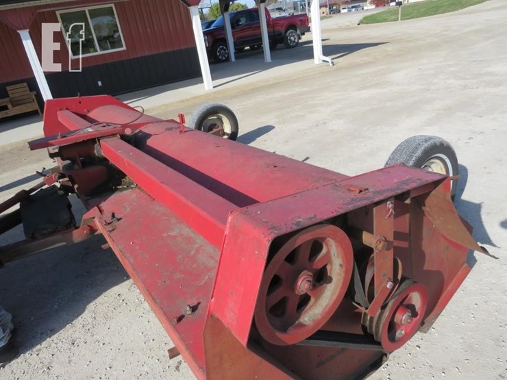 international-50-image-5