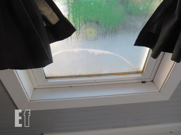 8'-x-22'-tiny-house-on-transport-image-16