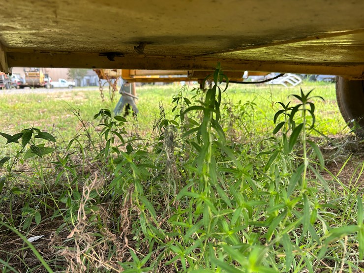 vermeer-1250-image-23