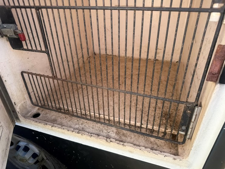 2004-link-175-image-19