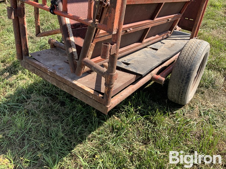 pinkleman-portable-cattle-chute-image-15
