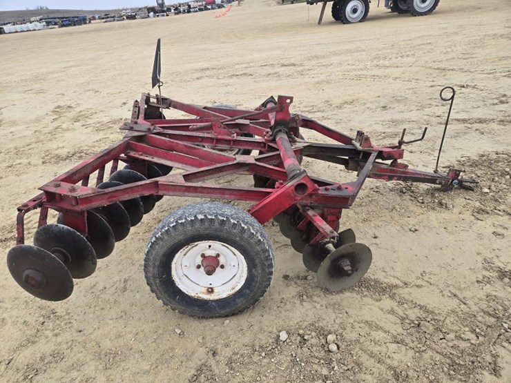 international-8-image-8