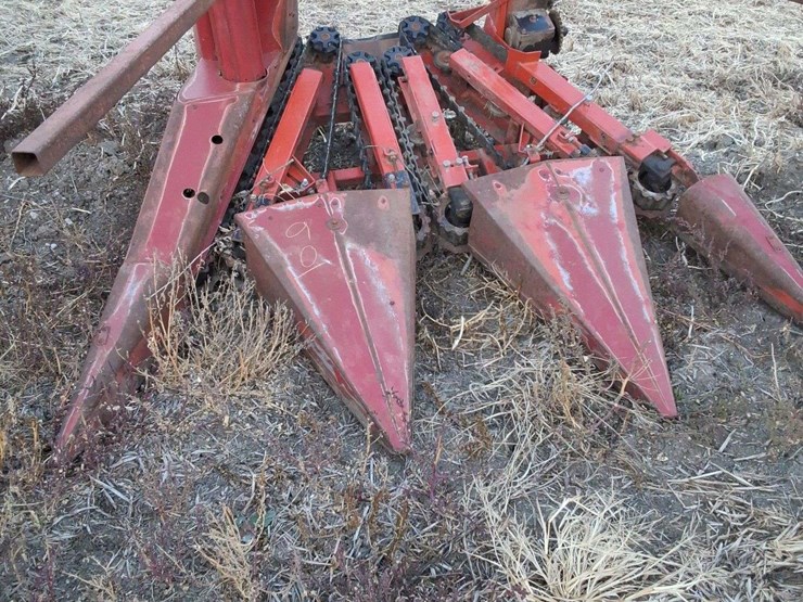 international-3-image-1