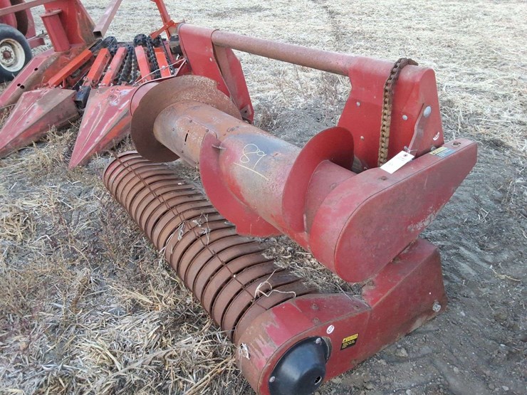 international-hay-head-image-1