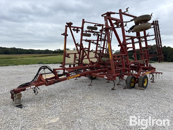 sunflower-5034-30-image-1