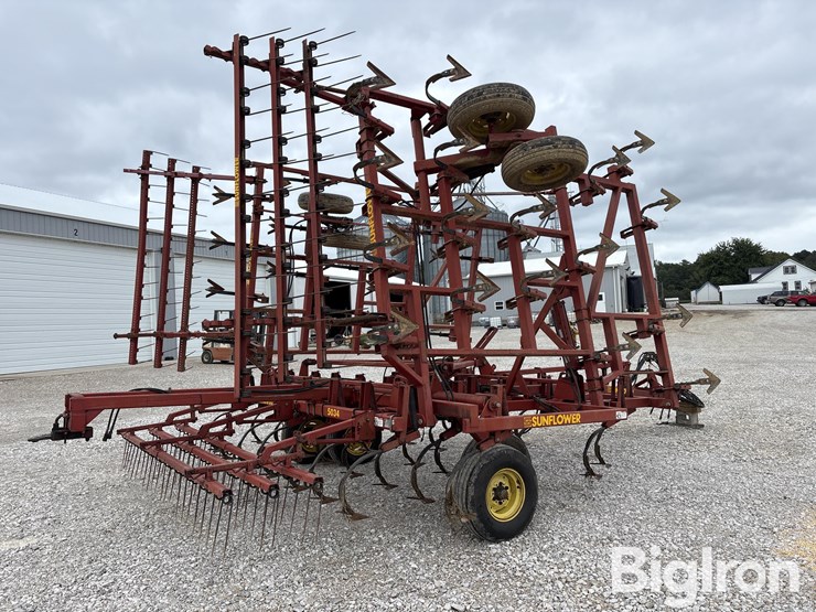 sunflower-5034-30-image-5