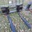 like-new-heavy-duty-quick-attach-pallet-forks,-came-from-birkeys,-fleet-pro-brand-image-3