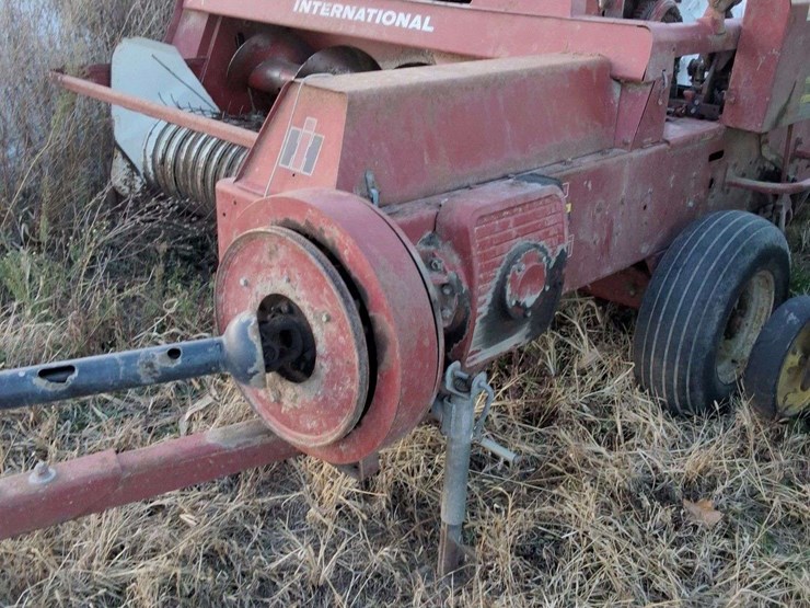 international-435-image-1