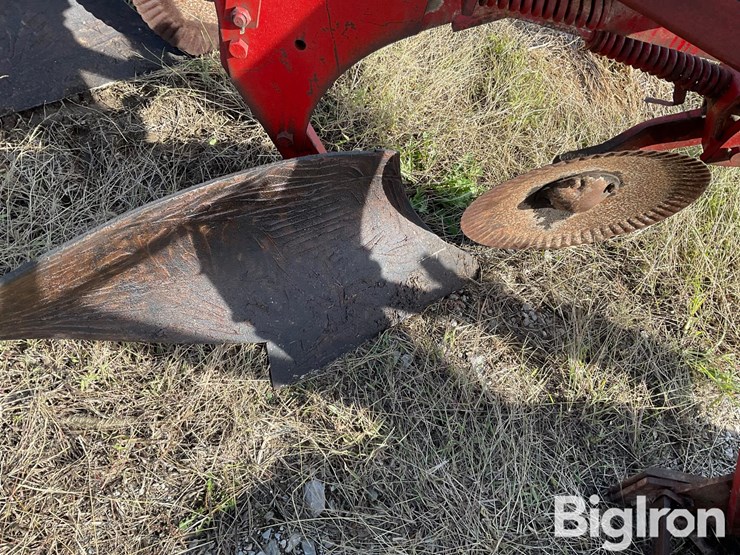 1982-white-588-image-14