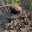 #2143-•-approx-44"-excavator-clam-bucket-image-2
